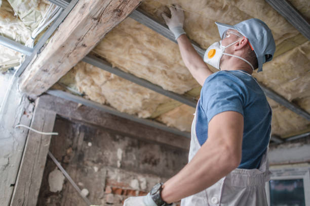 Best Types of Insulation in Charlotte, TX